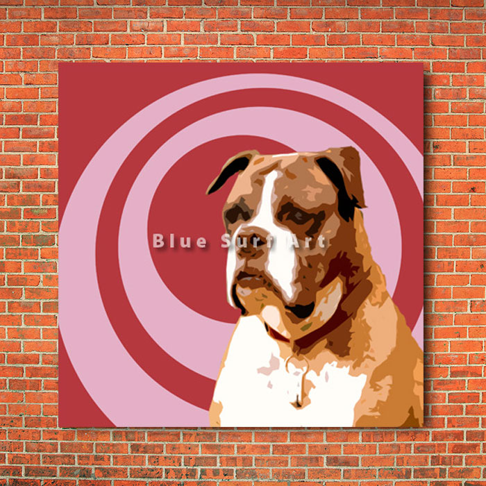 Boxer