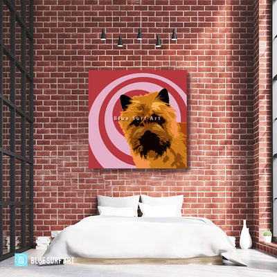 Cairn Terrier