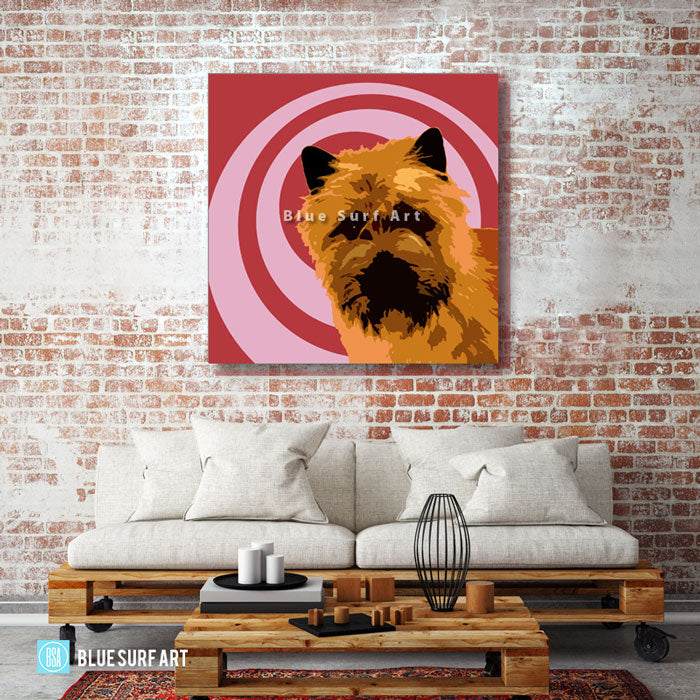 Cairn Terrier