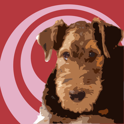 Airedale Terrier Canvas Art Painting Animal Pop Art Handmade Art