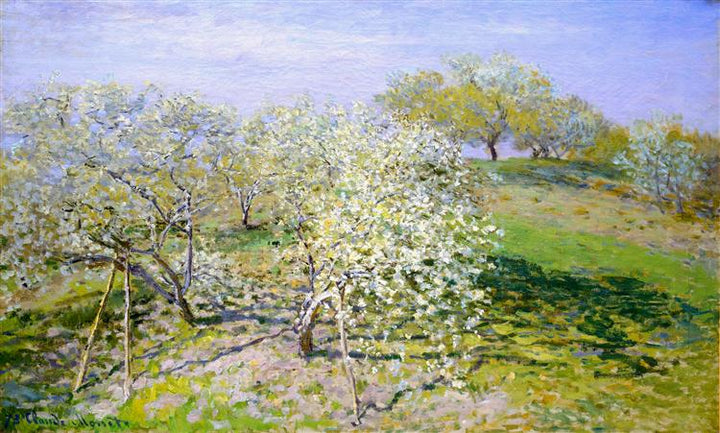 Apple Trees In Blossom, 1873. Reproduction Oil Painting on Canvas I Blue Surf Art