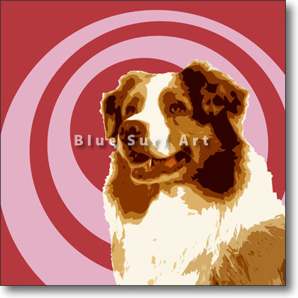 Australian Shepherd