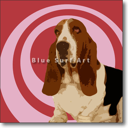 Basset Hound