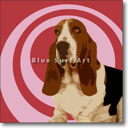 Basset Hound