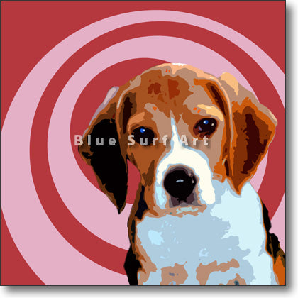 Beagle