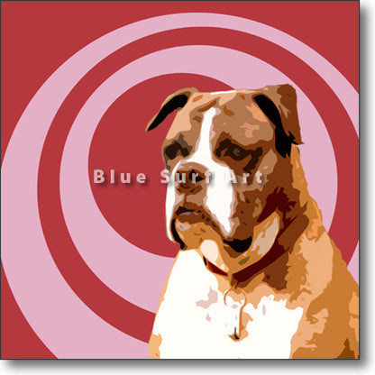Boxer