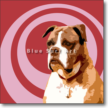 Boxer