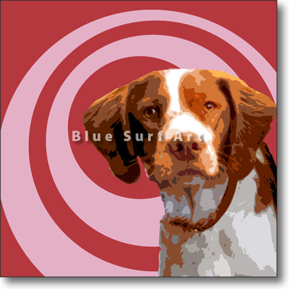 Brittany Spaniel