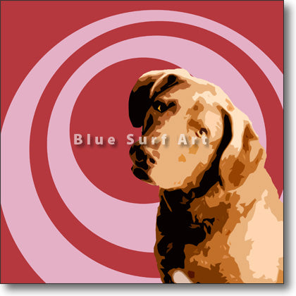 Cheaspeake Bay Retriever
