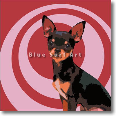 Chihuahua