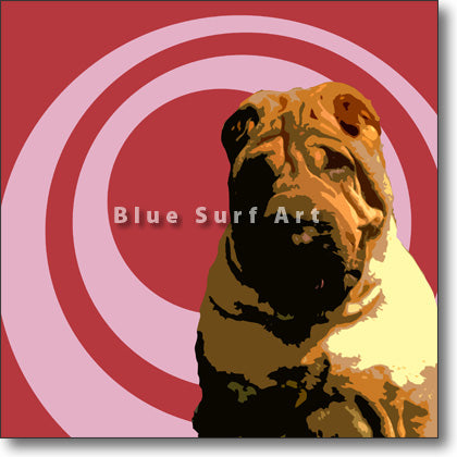 Chinese Shar-Pei