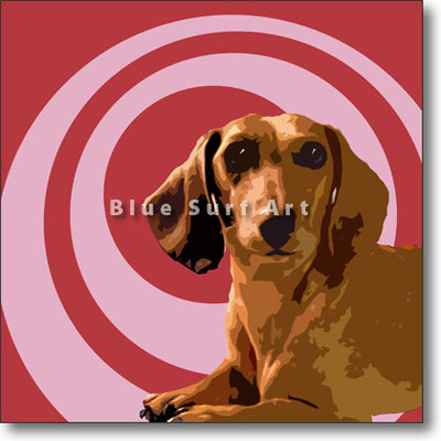 Dachshund