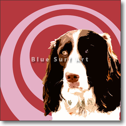 English Springer Spaniel