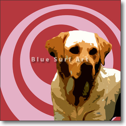 Labrador Retriever