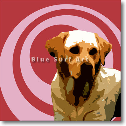 Labrador Retriever