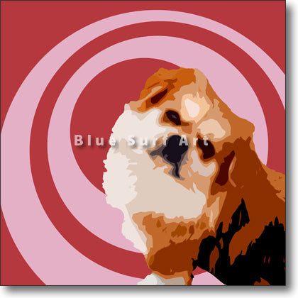 Pekingese