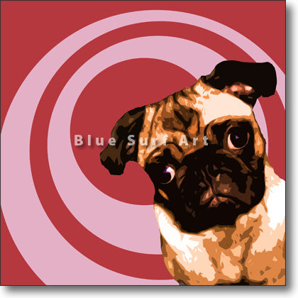 Pug