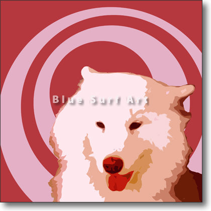 Samoyed