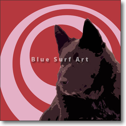 Schipperke