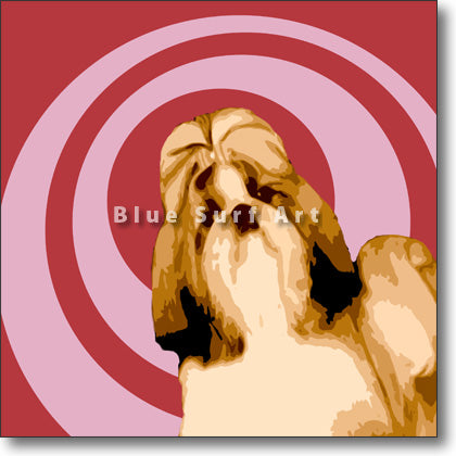Shih-Tzu