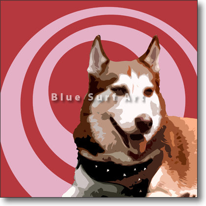 Siberian Husky