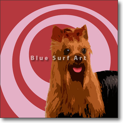 Yorkshire Terrier
