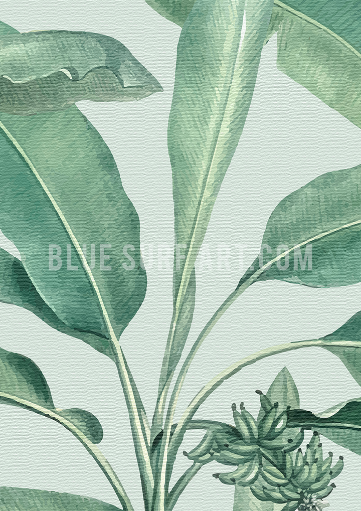Tropical Banana Leaf Canvas Art Print III