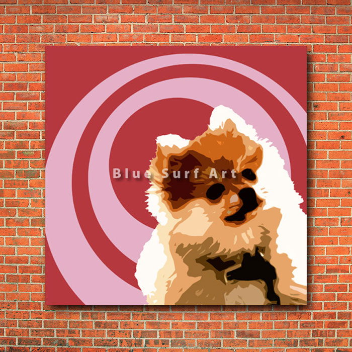 Pomeranian