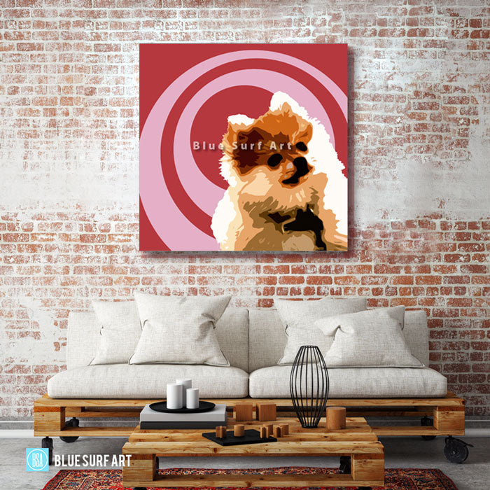 Pomeranian