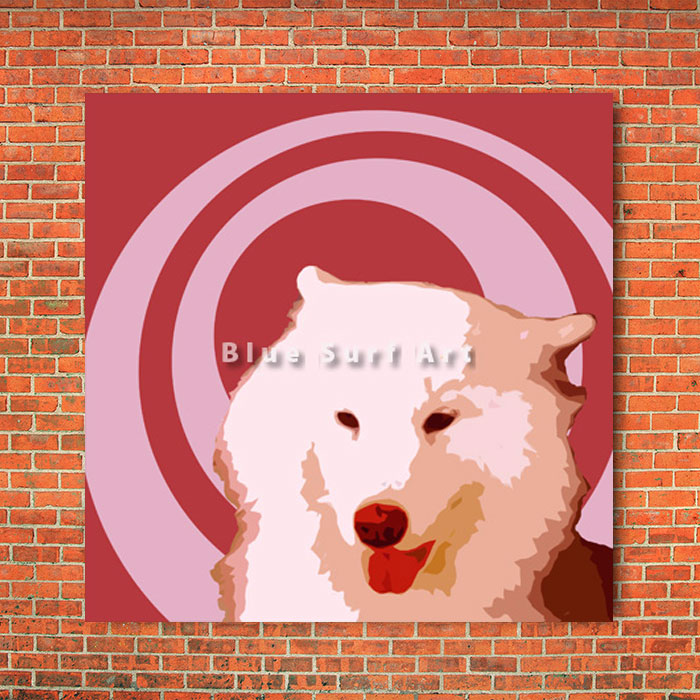 Samoyed