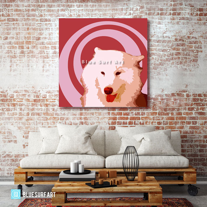 Samoyed