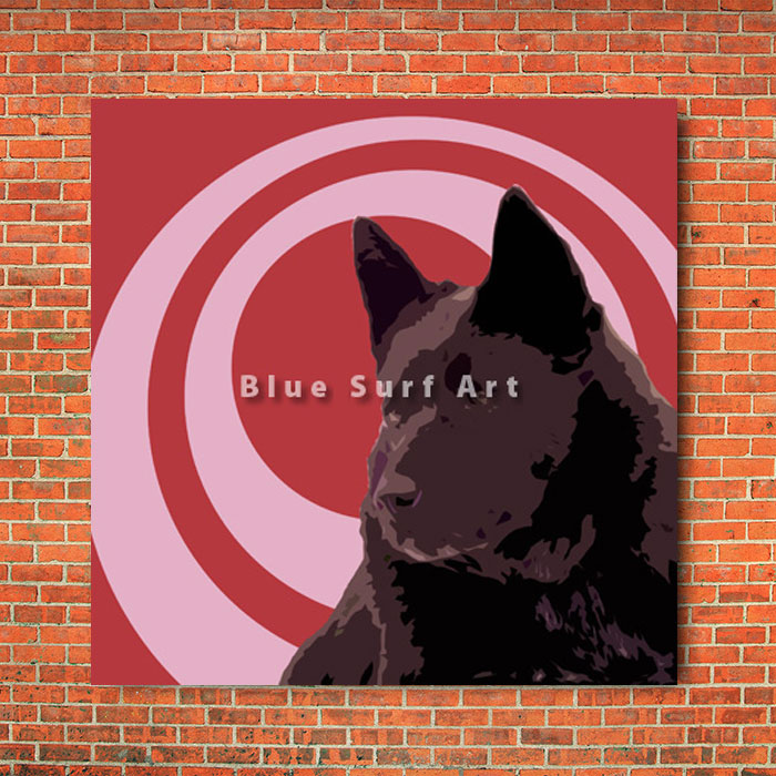 Schipperke