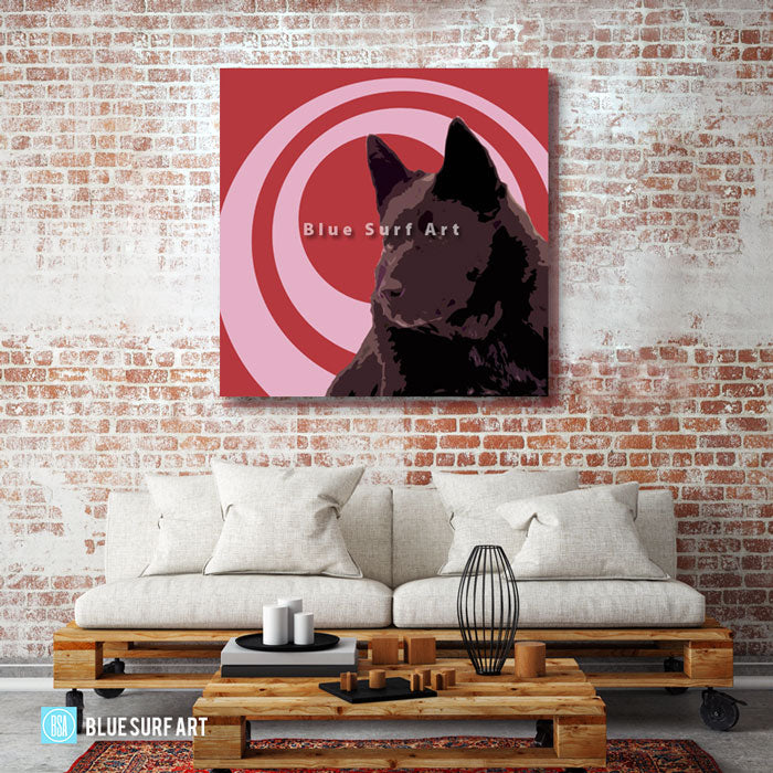 Schipperke