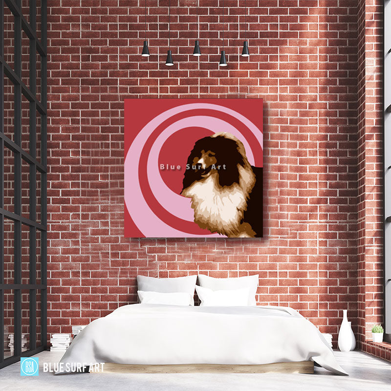 Shetland-Sheepdog