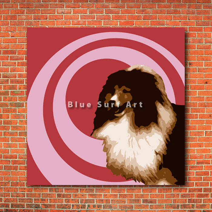 Shetland Sheepdog