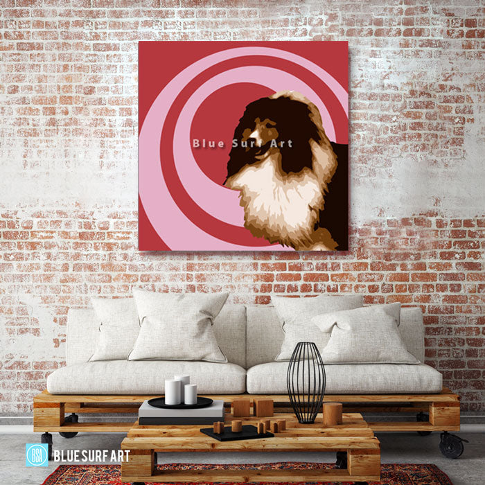 Shetland Sheepdog