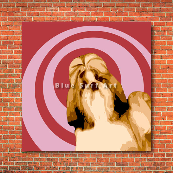 Shih-Tzu