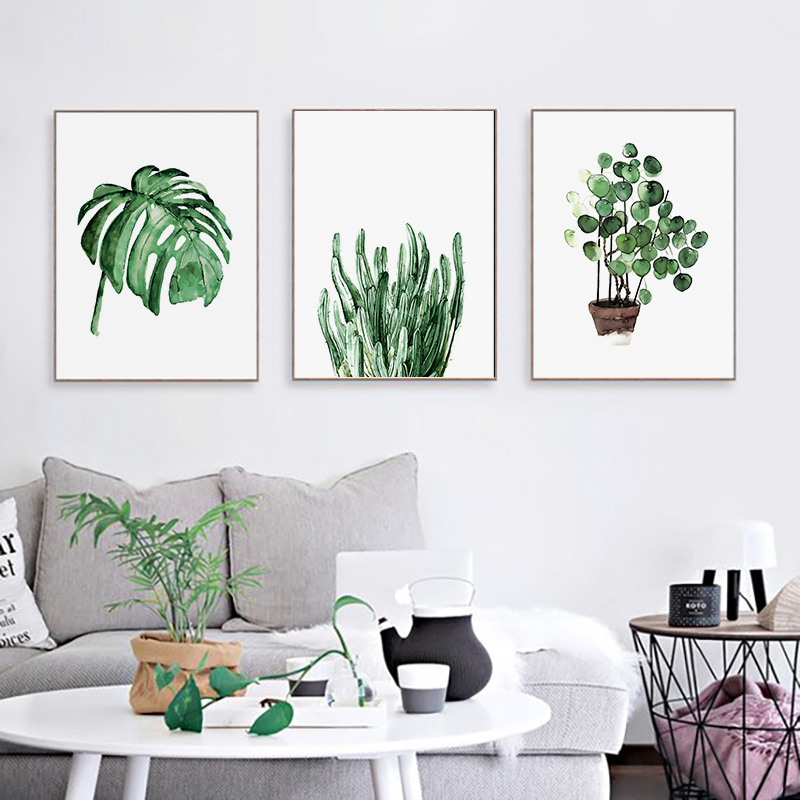 Tropical Plants - Cactus