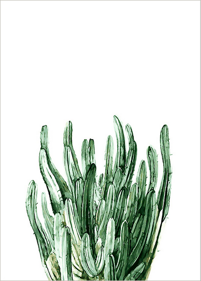 Tropical Plants - Cactus, Canvas Art Painting. Wall Art, Home Decor