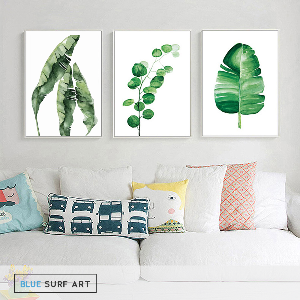 Tropical Plants -  Banana Leafs