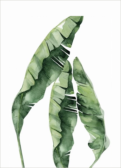 Tropical Plants -  Banana Leafs, Canvas Art Painting. Wall Art, Home Decor