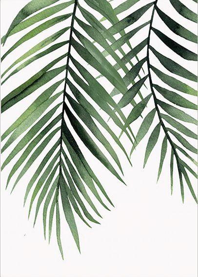 Tropical Plants - Coconut Leafs, Canvas Art Painting. Wall Art, Home Decor