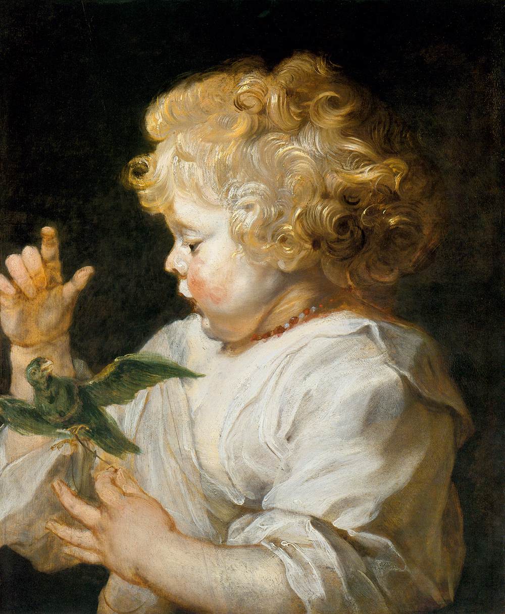 Boy with Bird by Peter Paul Rubens Reproduction Oil Painting on Canvas