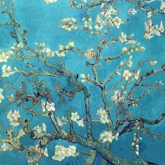 Branches of Almond tree in Bloom. Saint-Remy by Vincent van Gogh