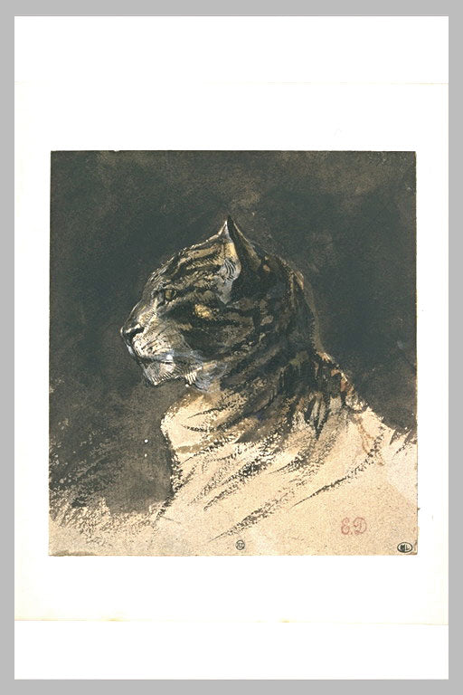 Cat head by Eugène Delacroix Reproduction Painting by Blue Surf Art