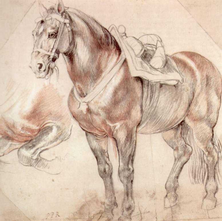 Etude of horse by Peter Paul Rubens Reproduction Oil Painting on Canvas