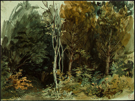 The Edge of a Wood at Nohant by Eugène Delacroix Reproduction Painting by Blue Surf Art
