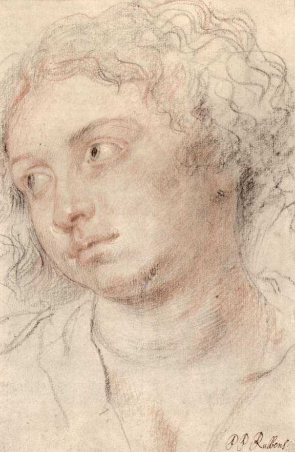 Head of woman by Peter Paul Rubens Reproduction Oil Painting on Canvas