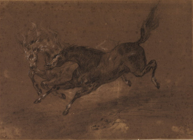 Horses running