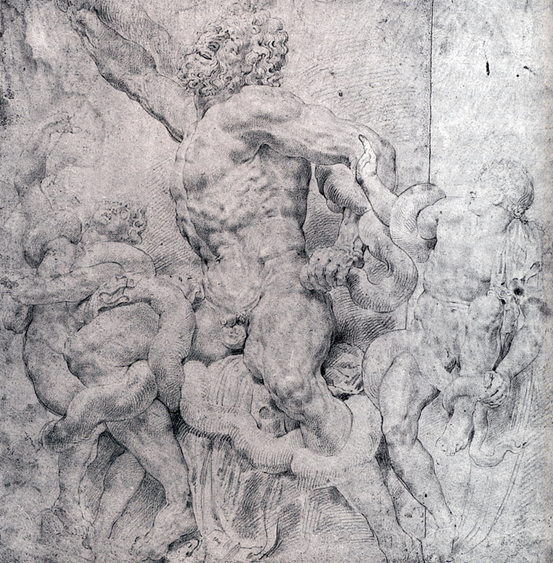 Laocoon and His Sons by Peter Paul Rubens Reproduction Oil Painting on Canvas